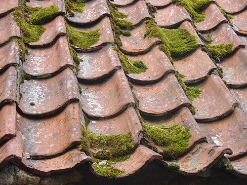 Wiesbaden Sanierung - Dach Renovierung